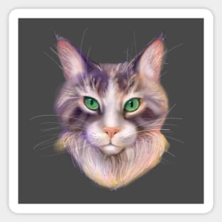 Maine Coon Cat with Green Eyes Sticker